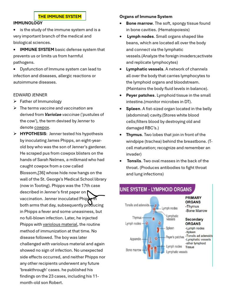 Midterm Immunolab | PDF | Immune System | White Blood Cell