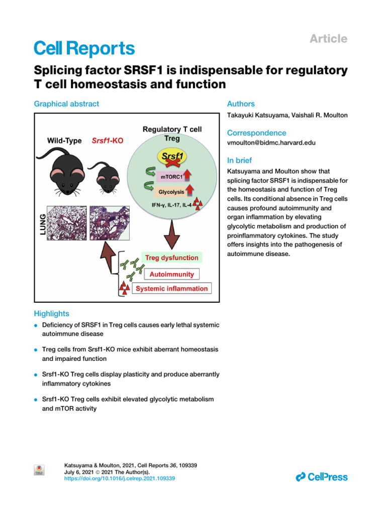 Splicing Factor SRSF1 Is Indispensable For Regulat | PDF | Autoimmunity ...