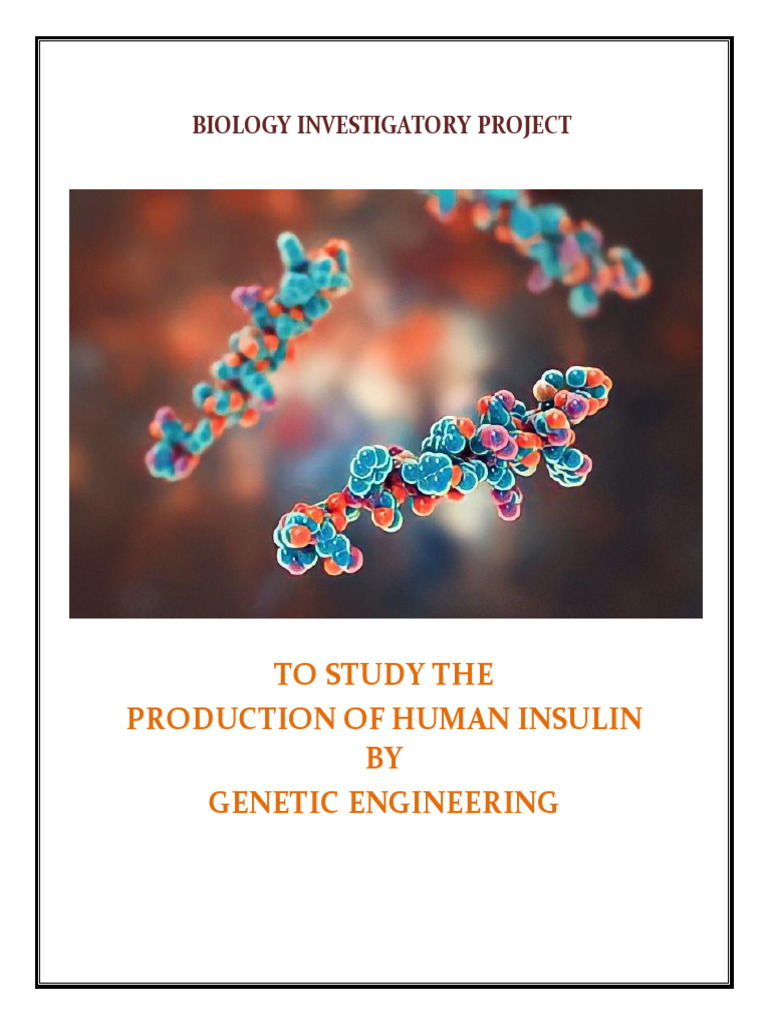 Human Insulin Production via Genetic Engineering | PDF | Insulin | Diabetes