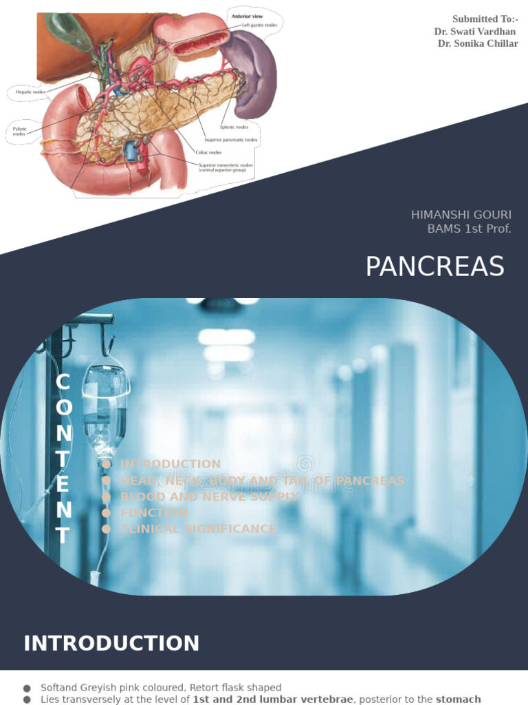 Anatomy and Functions of the Pancreas | PDF | Pancreas | Abdomen