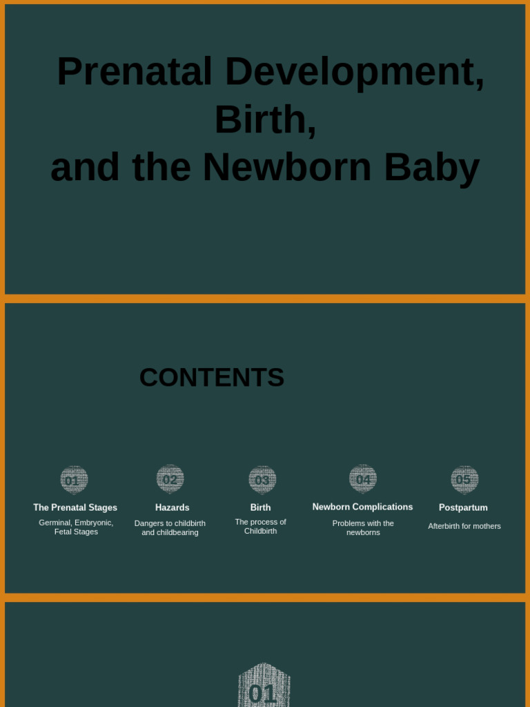 Prenatal Development and Newborn Care Guide | PDF | Childbirth | Embryo