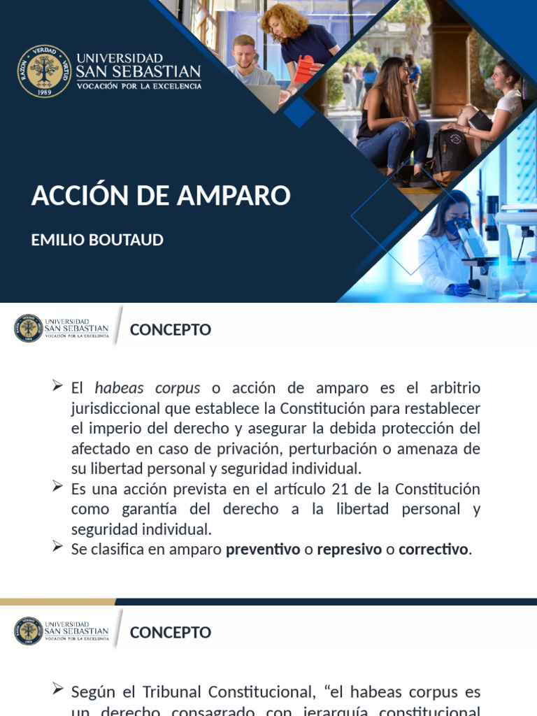 Acción de Amparo | PDF | Habeas corpus | Apelación