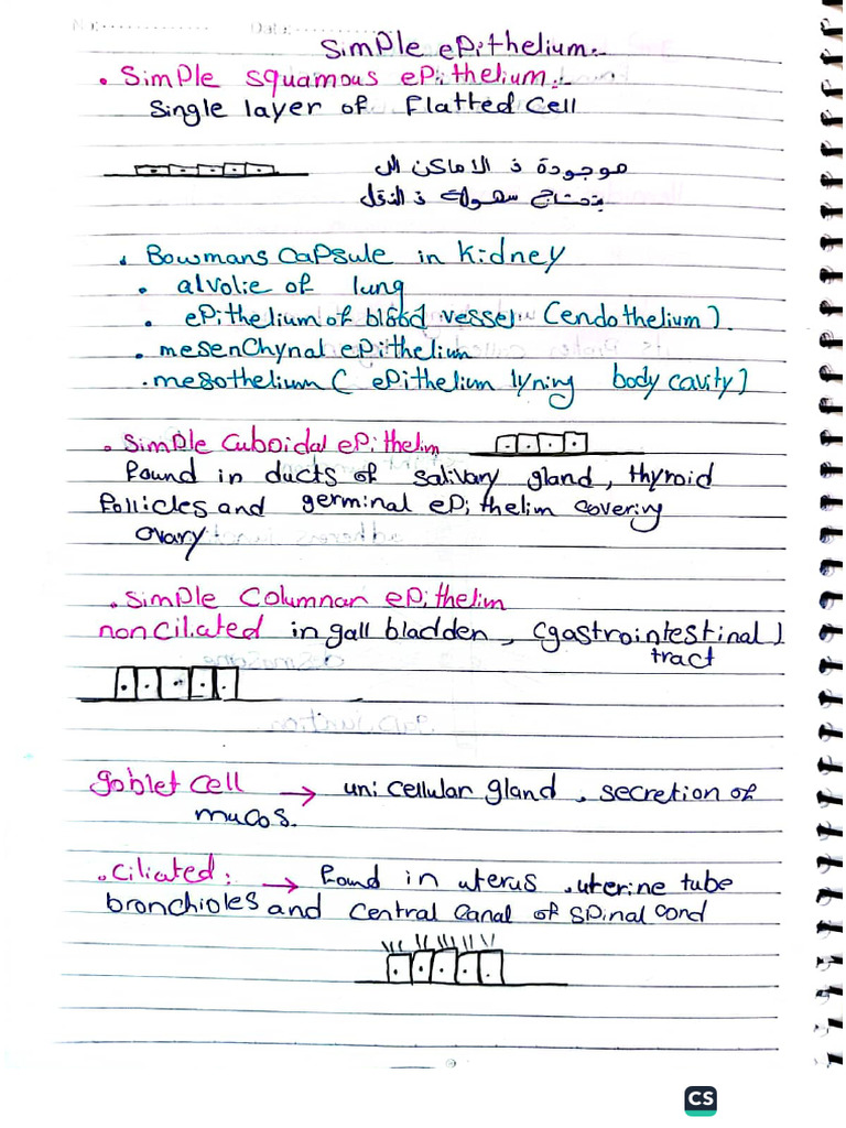 Lecture 3 Summary | PDF