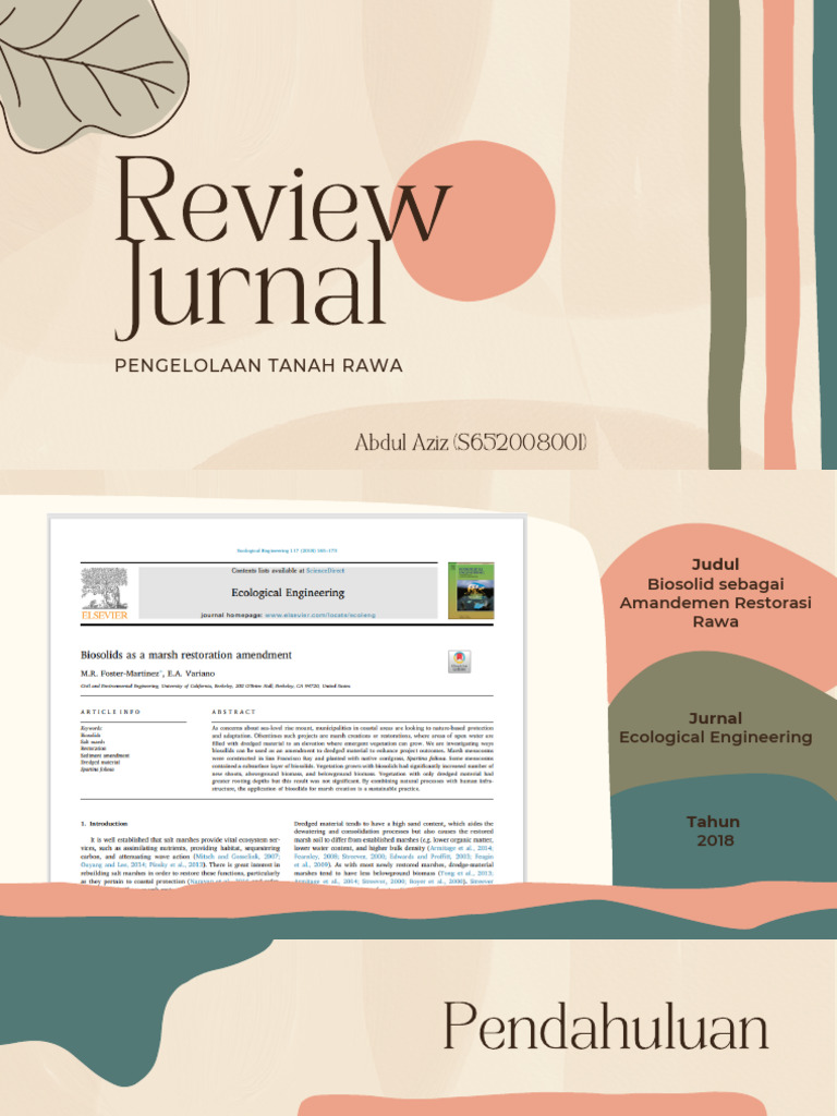 Tanah Rawa | PDF