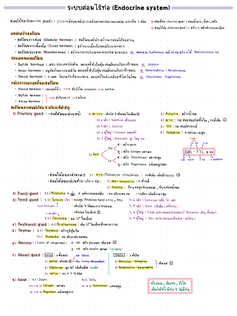 Endocrine System Overview | PDF | Luteinizing Hormone | Endocrine System