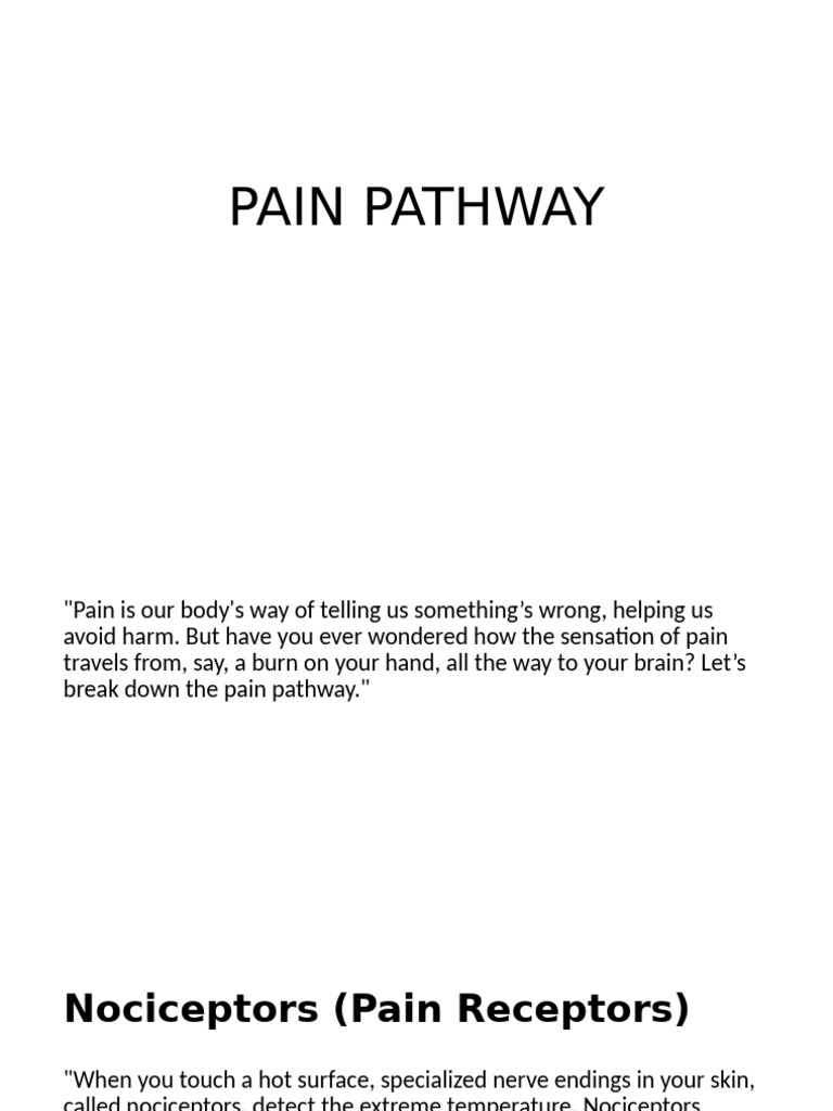 Pain Physiology/ Pathway | PDF | Science & Mathematics