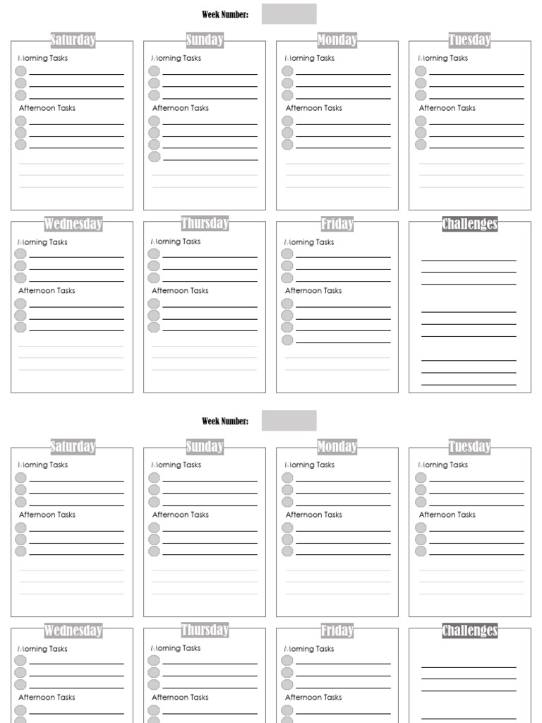 Weak Plan | PDF