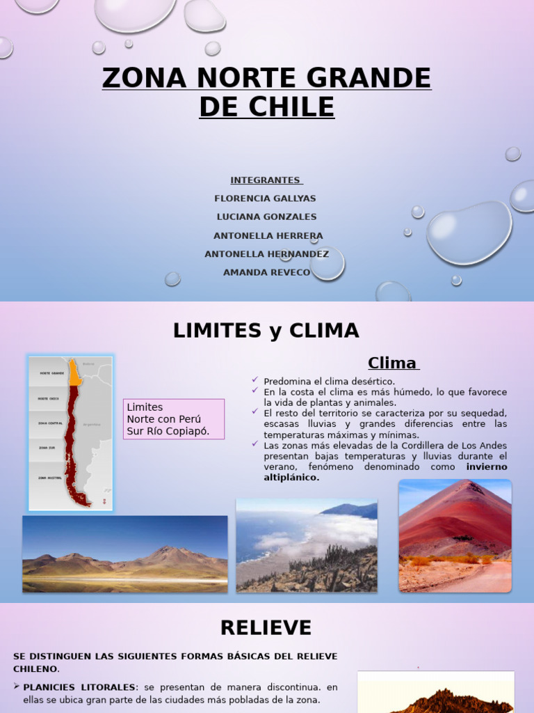 Zona Norte Grande de Chile | PDF | Chile | Andes