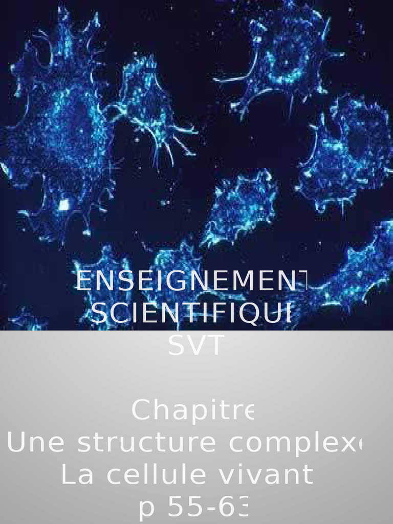 La cellule vivante : structure et observation | PDF | Membrane ...