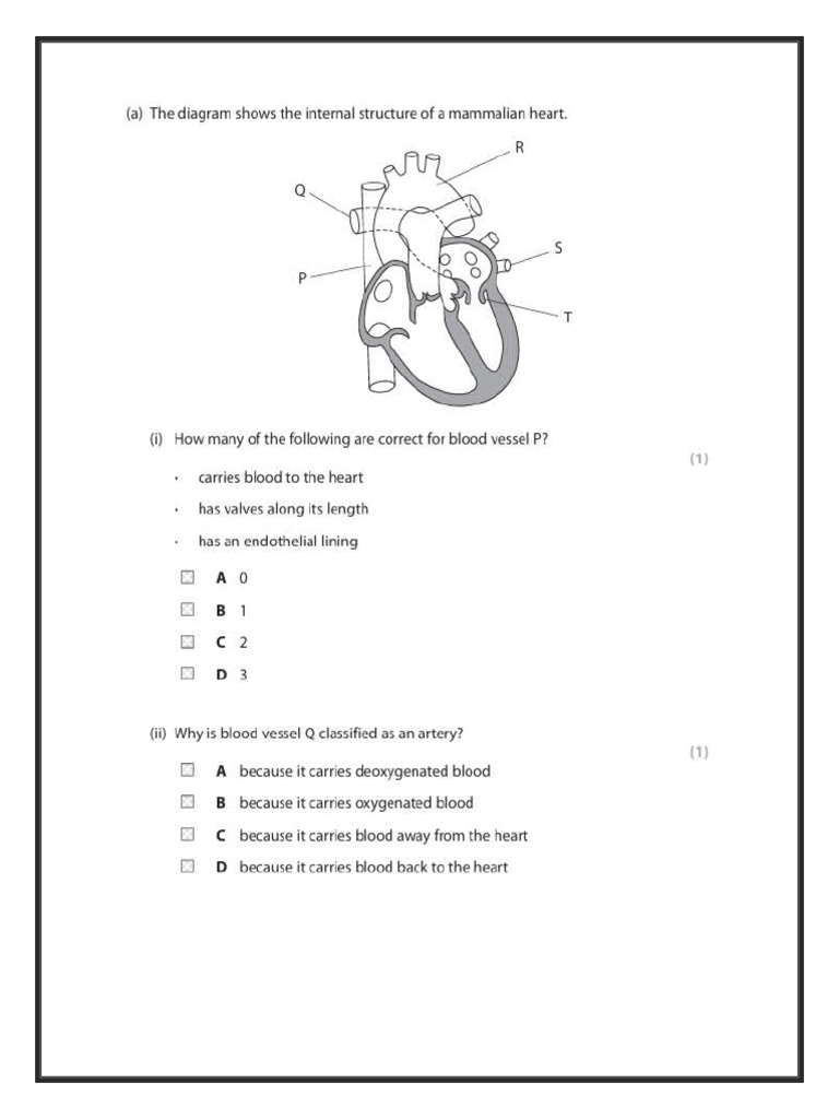 PRSM 22-3-24 | PDF
