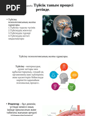 Шырынды аналь