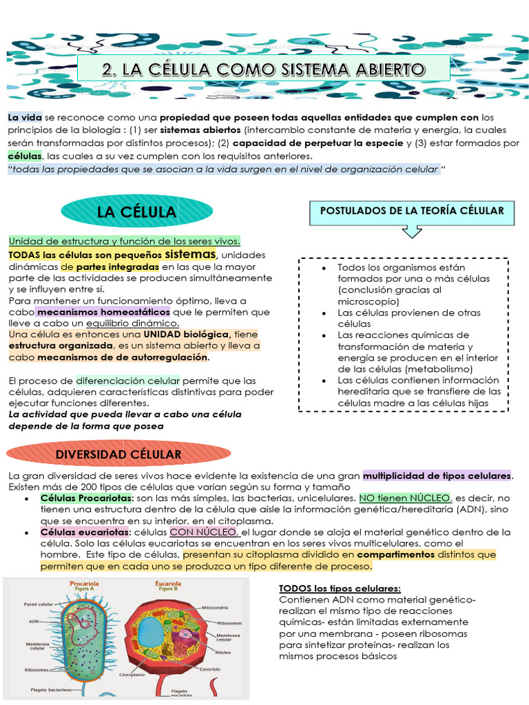 Estructura y Función de las Células | PDF | Biología Celular ...