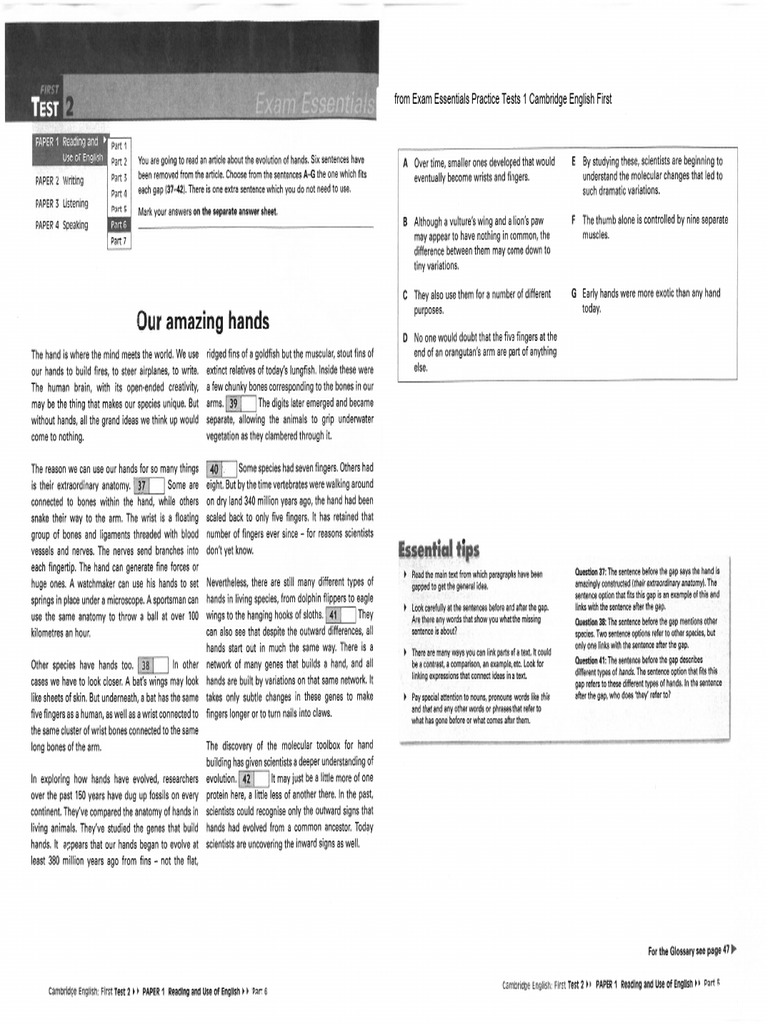 B2 First Reading Part 6 Our Amazing Hands Ak Pdf