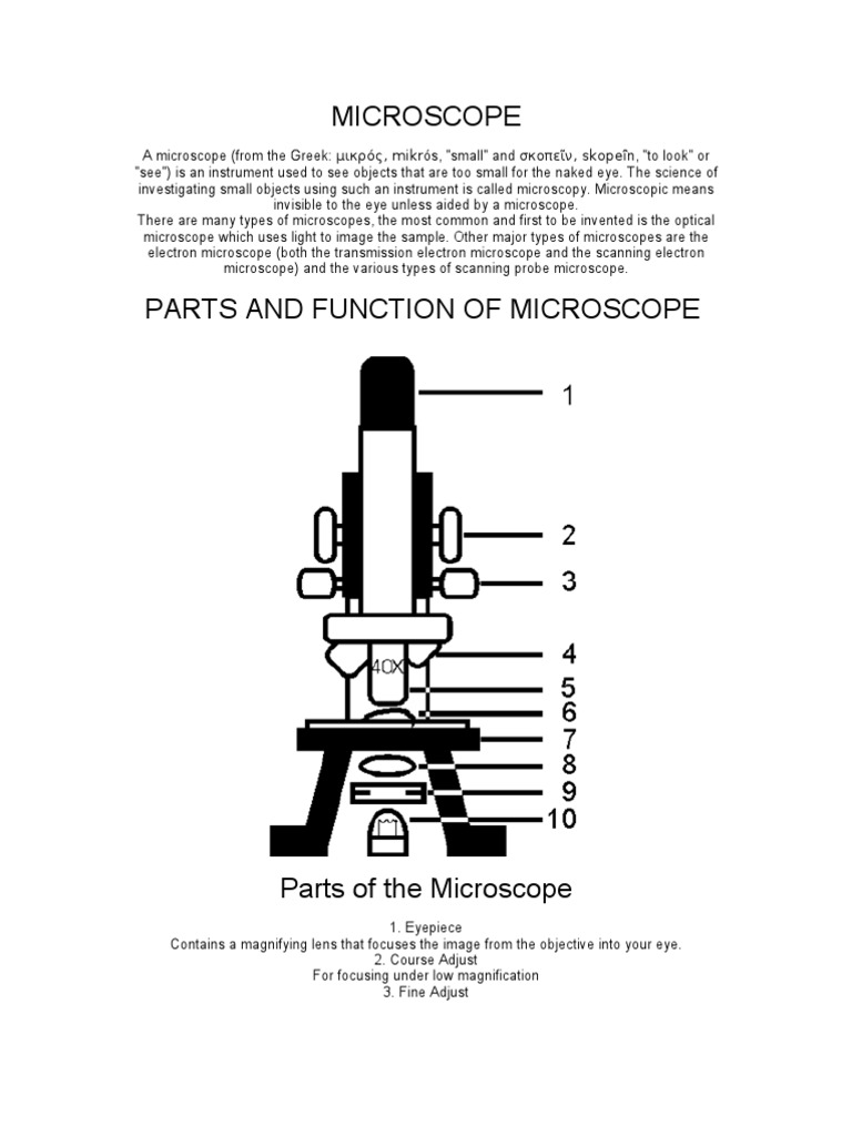 Understanding Microscope Parts and Functions | PDF | Science ...