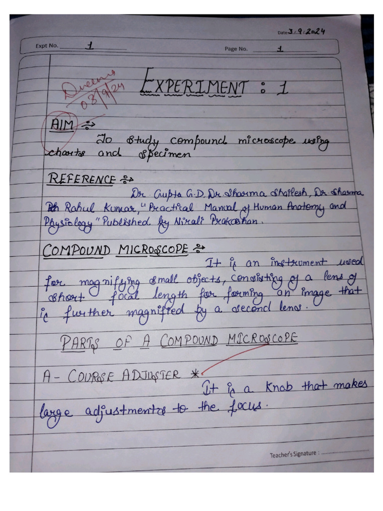 Human Anatomy 1st To 4th RHS | PDF