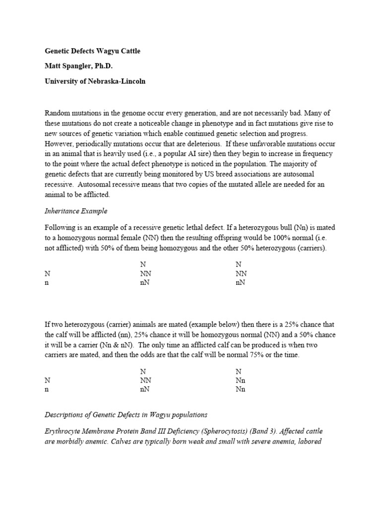 Genetic Defects in Wagyu Cattle Explained | PDF | Zygosity | Genetics