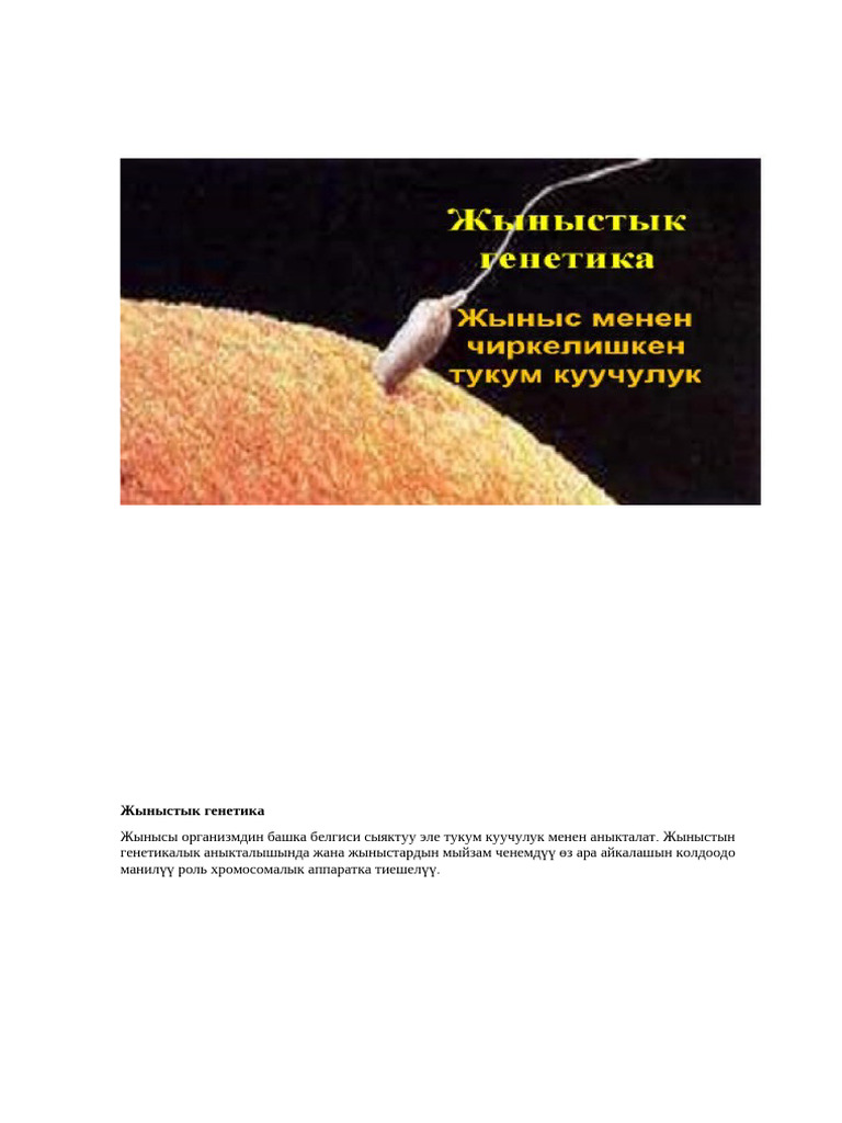 Катя Бамбуктың қатысуымен порно фильмдерді онлайн көріңіз