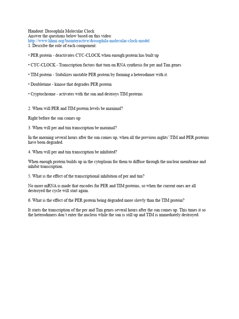 drosophila-molecular-clock-worksheet-1-pdf-technology-engineering