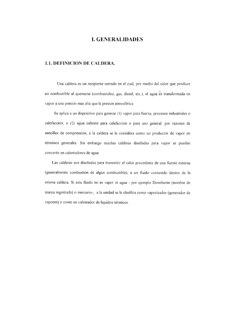 Capitulo 1 Pdf