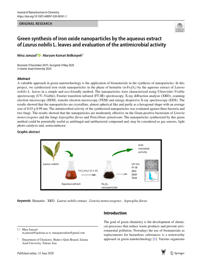 Green Synthesis of Iron Oxide Nanoparticles | PDF | Nanoparticle | X ...