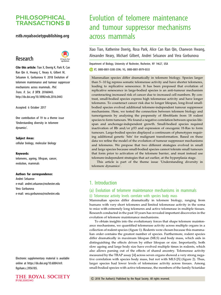 Tian Et Al 2018 Evolution of Telomere Maintenance and Tumour Suppressor ...