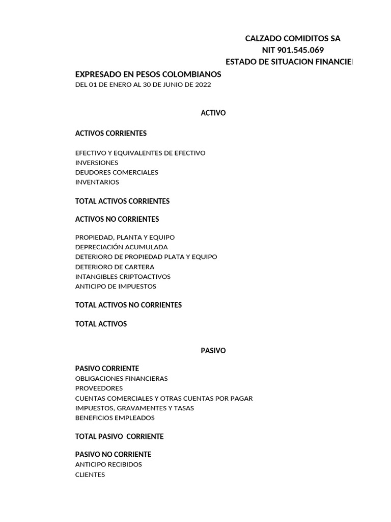 Estado de Situacion Financiera | PDF | Contabilidad | Corporaciones