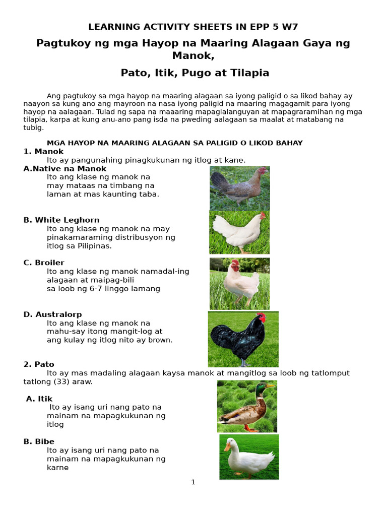 Epp Las 5 W7 | PDF