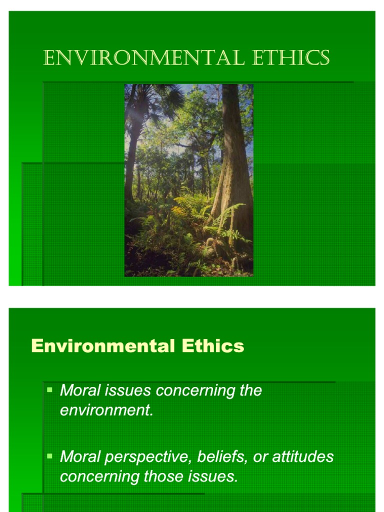 Environmental Ethics Overview | PDF | Human | Environmental Ethics