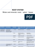 Root System: Ater and Minerals: Roots Xylem Leaves
