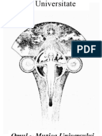 OMUL - Muzica Universului (Gheorghe Brănici)