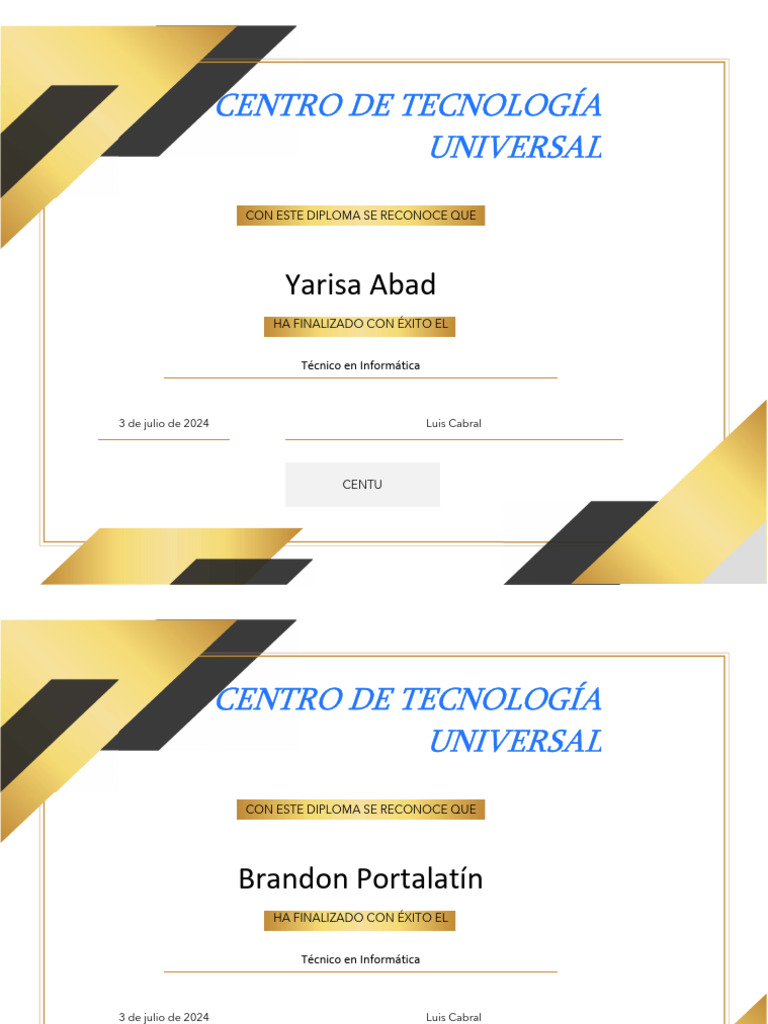 Diploma Técnico en Informática CENTU | PDF | Arte | Informática