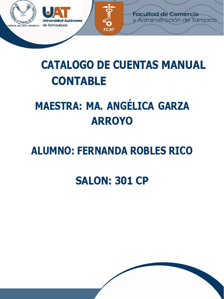Catalogo y Manual Contable | PDF | Impuesto al valor agregado | Pagos
