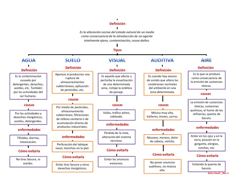 mapa conceptual contaminación