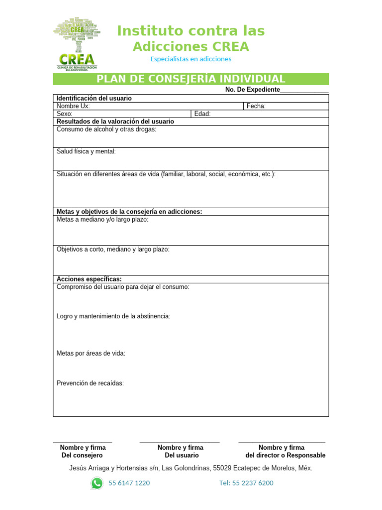 Plan de Consejería Individual | PDF