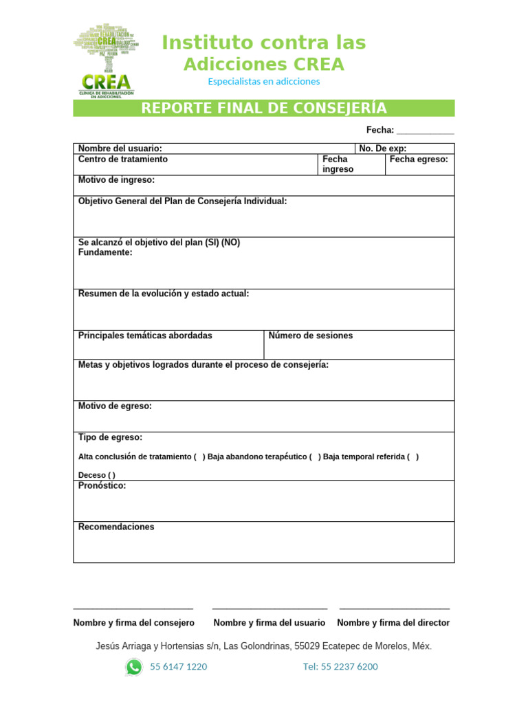 Plan de Consejería Individual en Adicciones | PDF