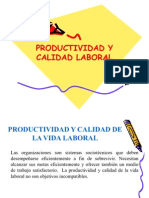 7 Productividad y Calidad Laboral