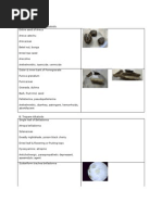 Download Alkaloids by Mark Kua SN79065603 doc pdf