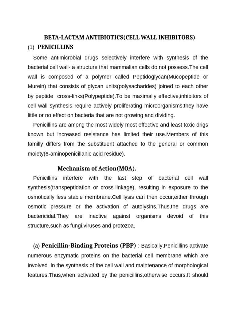 Beta Lactam Antibiotics | PDF | Penicillin | Beta Lactamase