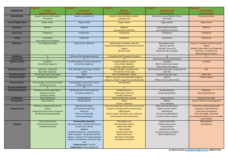 Animal Kingdom Phylum Overview | PDF | Gill | Mollusca