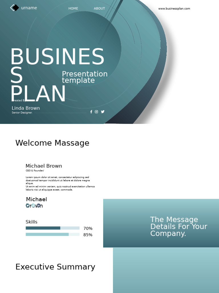 Business Plan Overview and Strategy | PDF | Business Intelligence ...