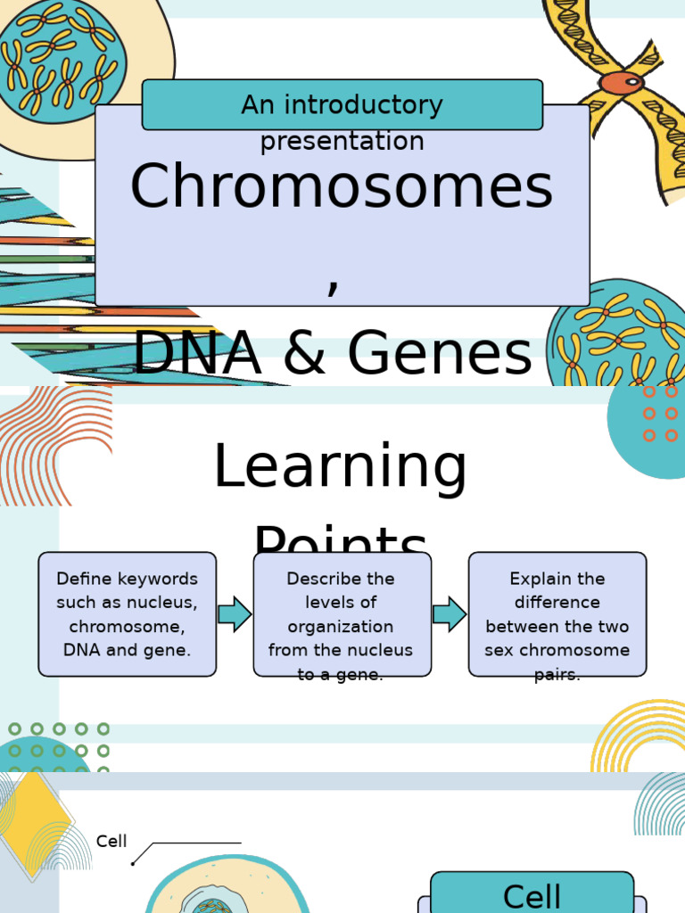 Understanding Chromosomes and DNA | PDF | Chromosome | Dna