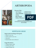Download Arthropoda by abdul rakan SN79068768 doc pdf