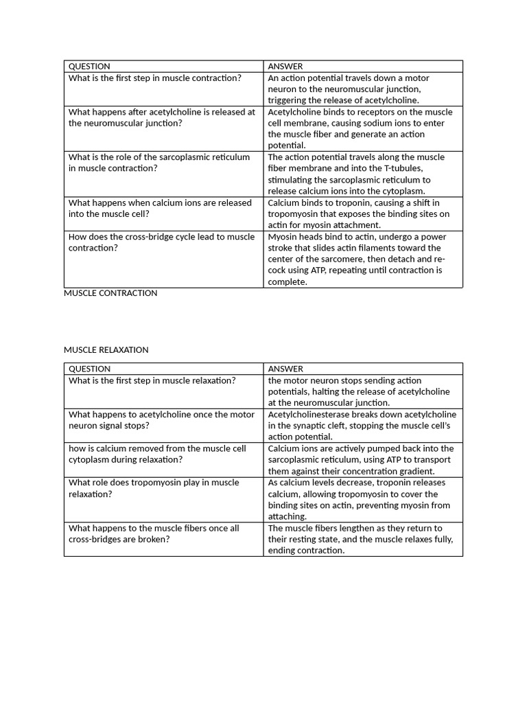 Muscle Contraction and Relaxation Process | PDF | Muscle Contraction ...