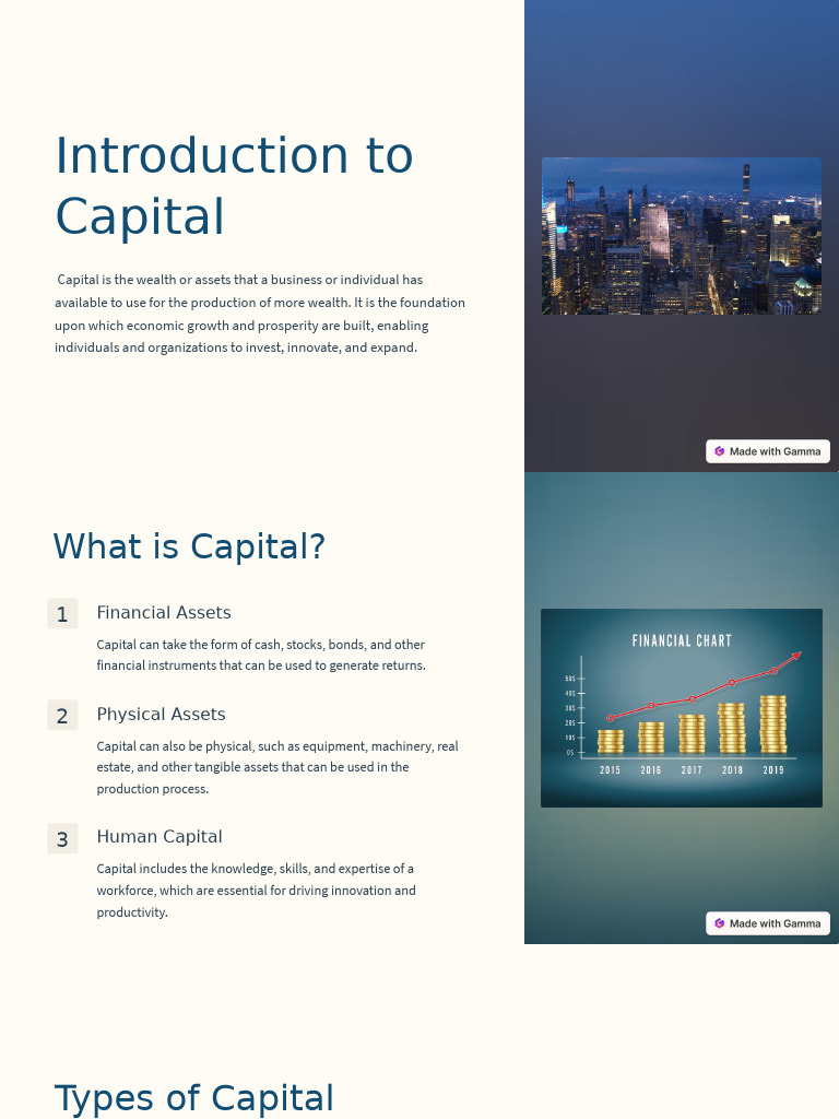 Understanding Capital: Types and Importance | PDF | Investing | Capital ...