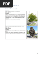 Thorpe Trees Catalogue | PDF | Beech | Plants