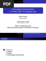 Pedro Frazão - Cosmological Perturbations in A New Type of Chaplygin Gas