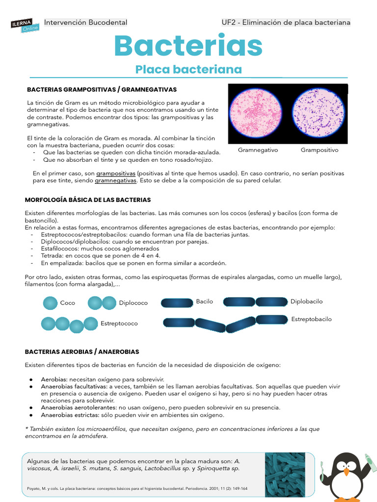 Bacterias | PDF | Las bacterias | Bacterias Gram Positivas