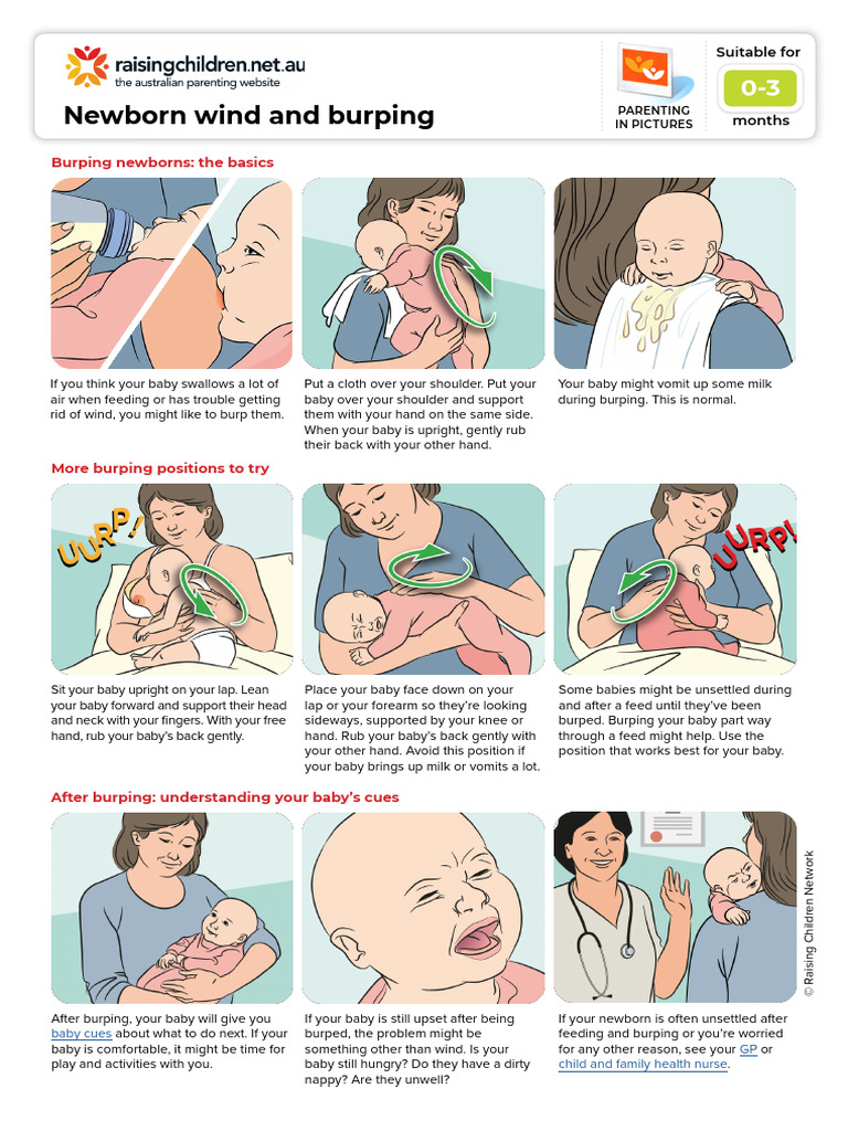 Newborn Wind and Burping | PDF