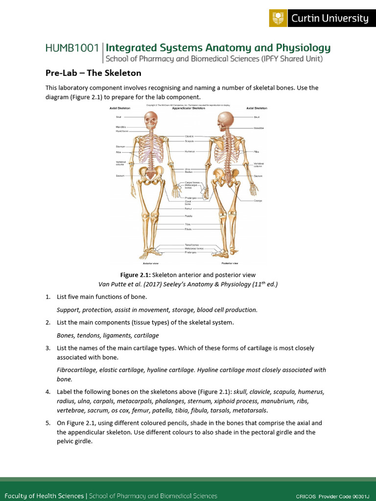 Skeleton Anatomy Pre-Lab Guide | PDF | Bone | Skeleton
