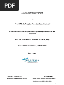 Social Media Analytics Report